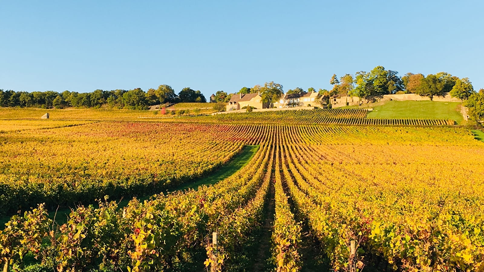 Balade du soir en automne