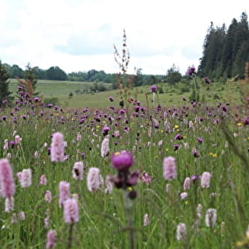 Le Mémont - LE RUSSEY