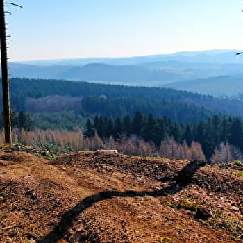 Circuit de Gravel: Boucle 55km du lac des Settons Nord - MONTSAUCHE-LES-SETTONS