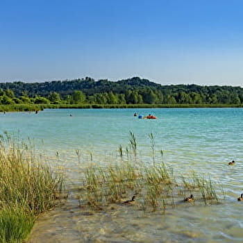 Les Nuisières - 9V - CLAIRVAUX-LES-LACS