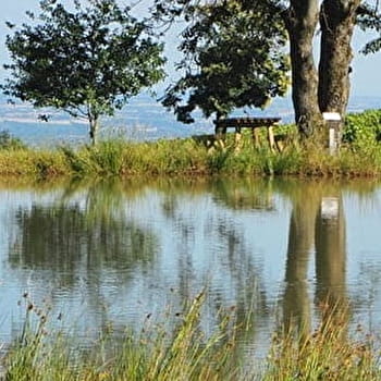 Balade de l'étang de la Carelle - REGNIE-DURETTE