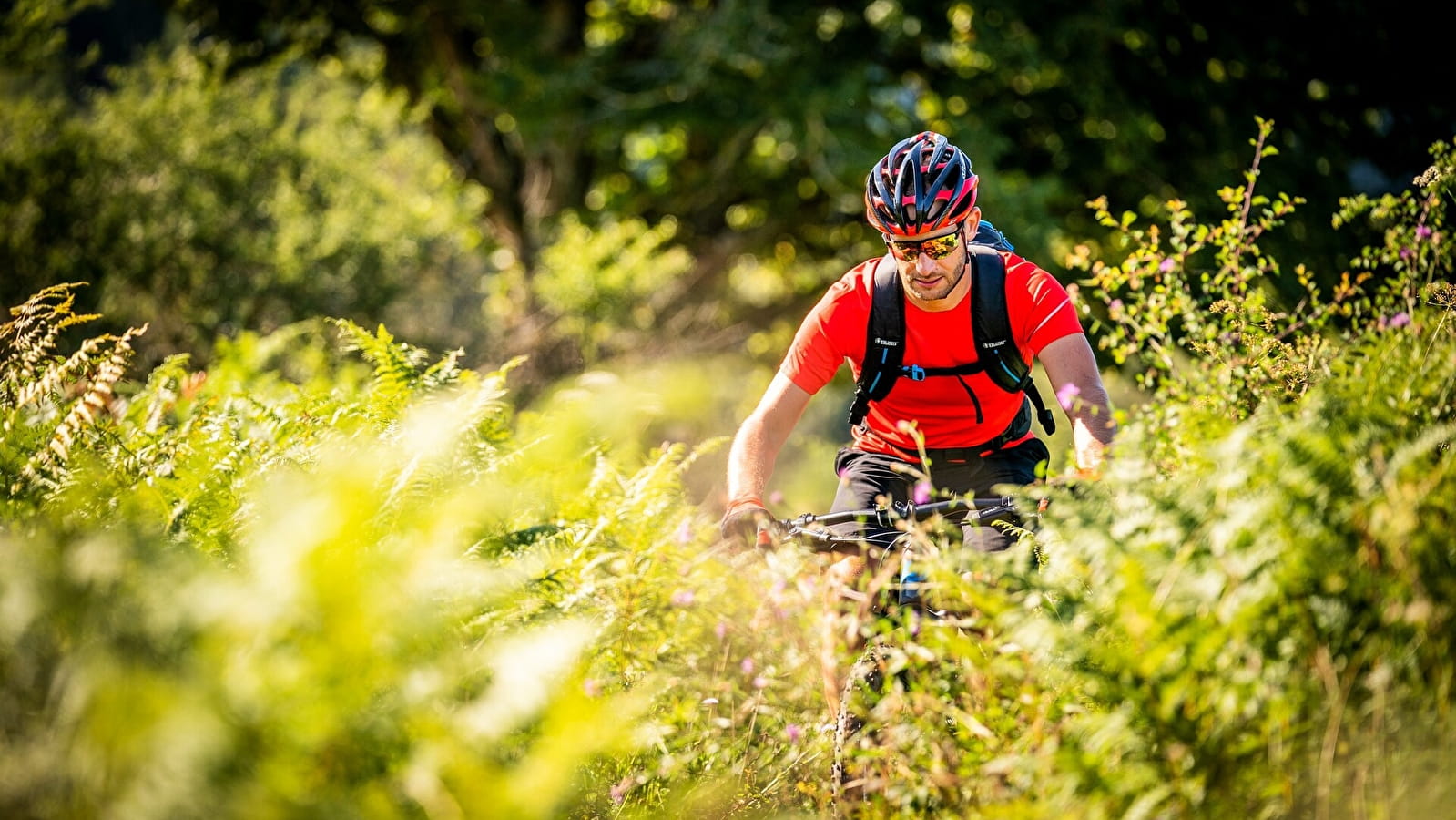 La Combe Dijon - 85B