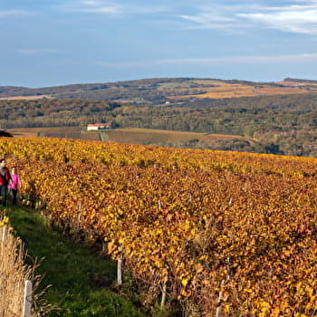 Balade en Brinchamp - LUGNY