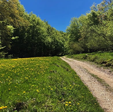 Parcours trail de la ronde des Plans