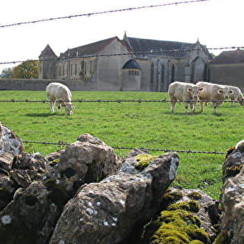 La voie Romaine - SAINT-LAURENT-EN-BRIONNAIS