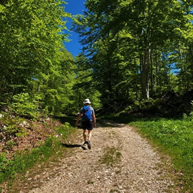 Circuit de randonnée le Tour de Retord