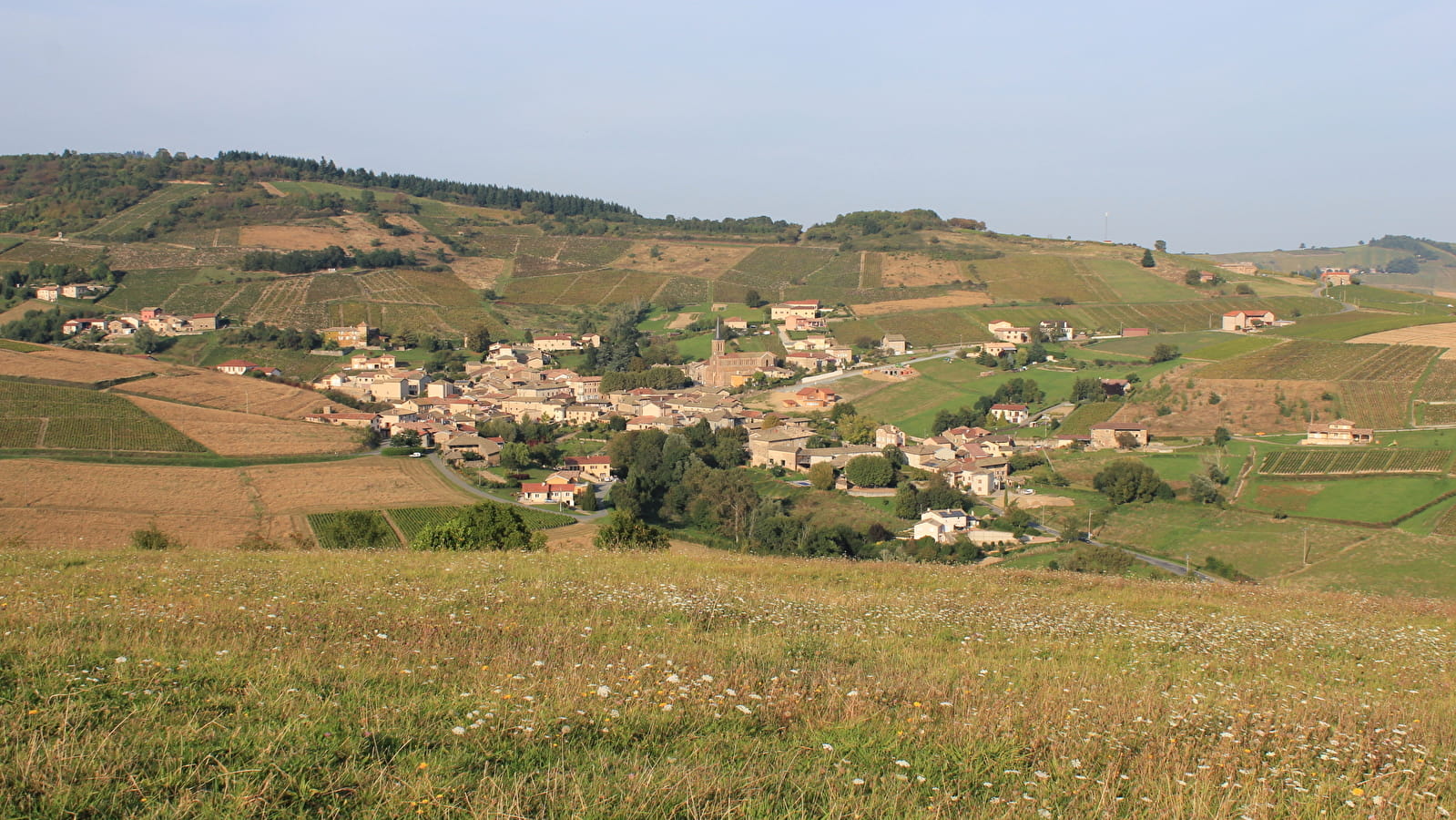 Circuit gland de chêne
