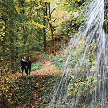 Vautran - PIERREFONTAINE-LES-VARANS