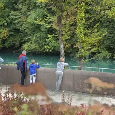 Promenade urbaine : Les berges du Rhône