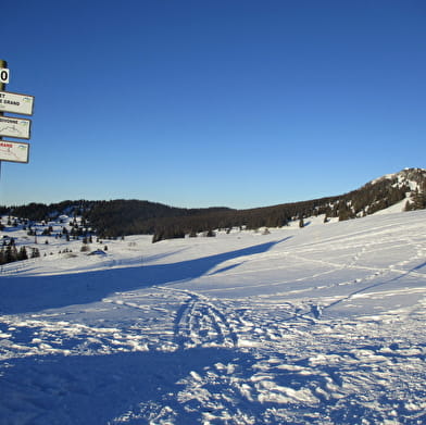 Sentier raquettes la Gelinotte