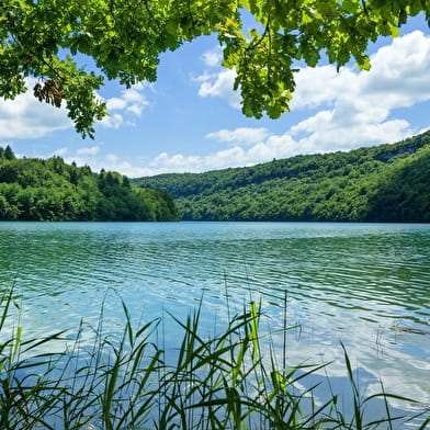 Entre Clairvaux et Vouglans - 93R