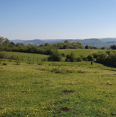Randonnée - La frontière revermontoise