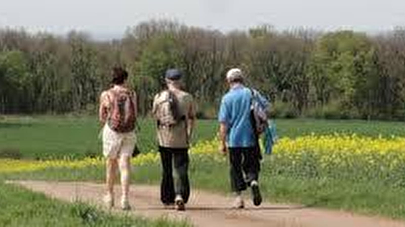 Circuit pédestre La Baume Noire