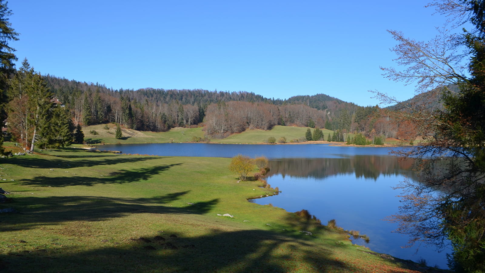 Le circuit des dinosaures