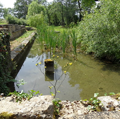 Sentier d'interprétation du Magny