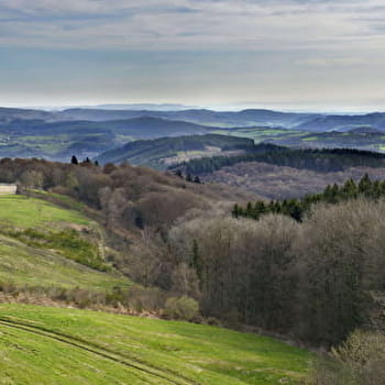 La Châtaigneraie - SAINT-LEGER-SOUS-BEUVRAY