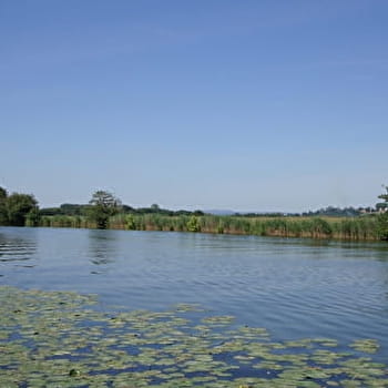 Entre Seille et Saône - LOUHANS