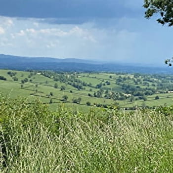 Bocage et paysage - SAINT-CHRISTOPHE-EN-BRIONNAIS