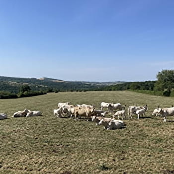 Le chemin des Celtes - CERSOT