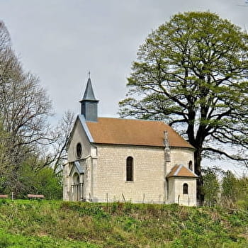 Les Ruppes - 87B - FOUCHERANS