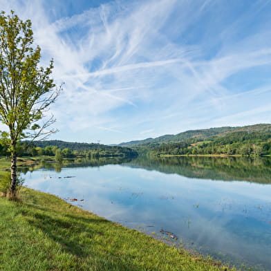 Circuit Jurassic Vélo Tours n°40 - Le tour de l'Oignin ou la rivière domptée