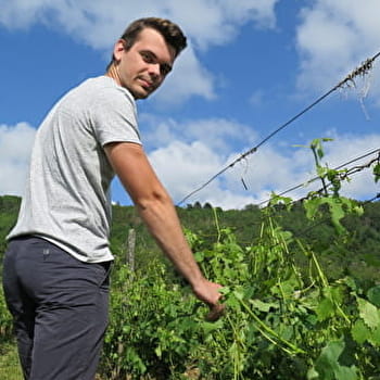 Domaine Christophe & Yoann Perrin - VERNANTOIS