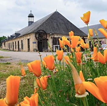 Le circuit des Forges Royales - GUERIGNY