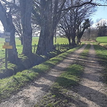 Etang des Baisses et ferme de Bévey (VTT) - CORMOZ