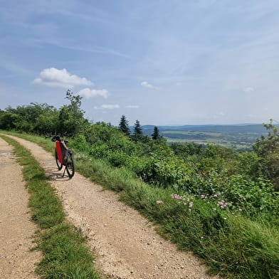 Circuit VTTAE n°9 et 10 Mont Myon - Plateau de Vergongeat