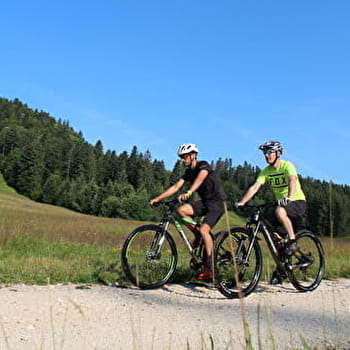 Parcours VTT 63 bleu - La Borne des 3 Cantons - Espace VTT Ain Forestière - PLATEAU D'HAUTEVILLE