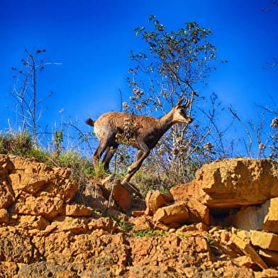 Randonnée - Belvédère de la Carrière de Roissiat - Mémoire de Pierre