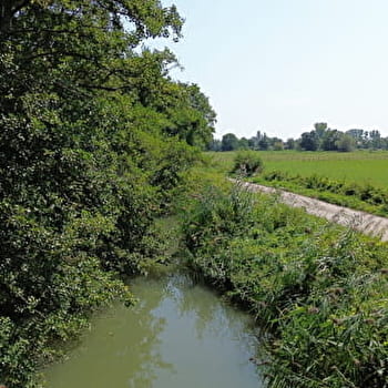 Sentier des hérons - PALLEAU