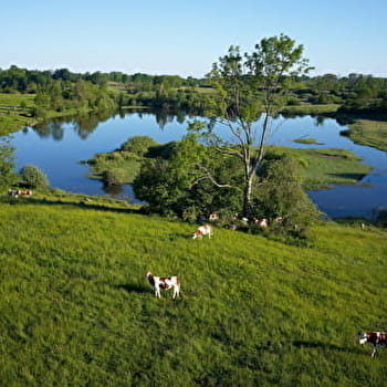 Fontaine des Meix - 27B - CERNIEBAUD