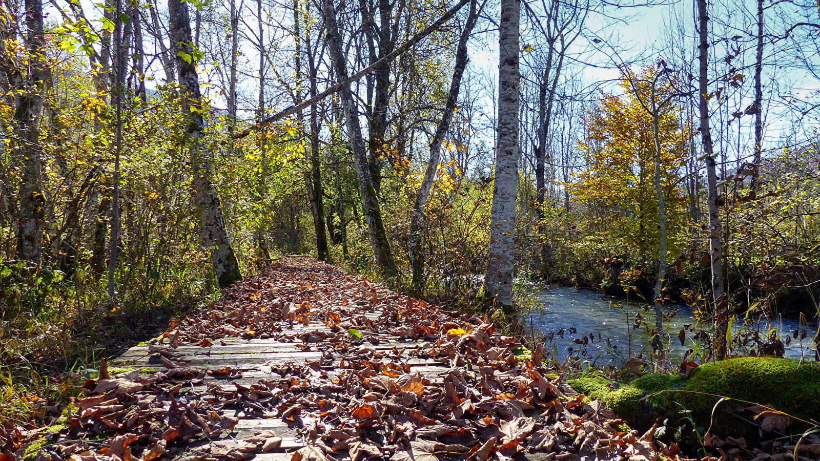 Randonnée pédestre : Lélex - La Valserine, rivière sauvage