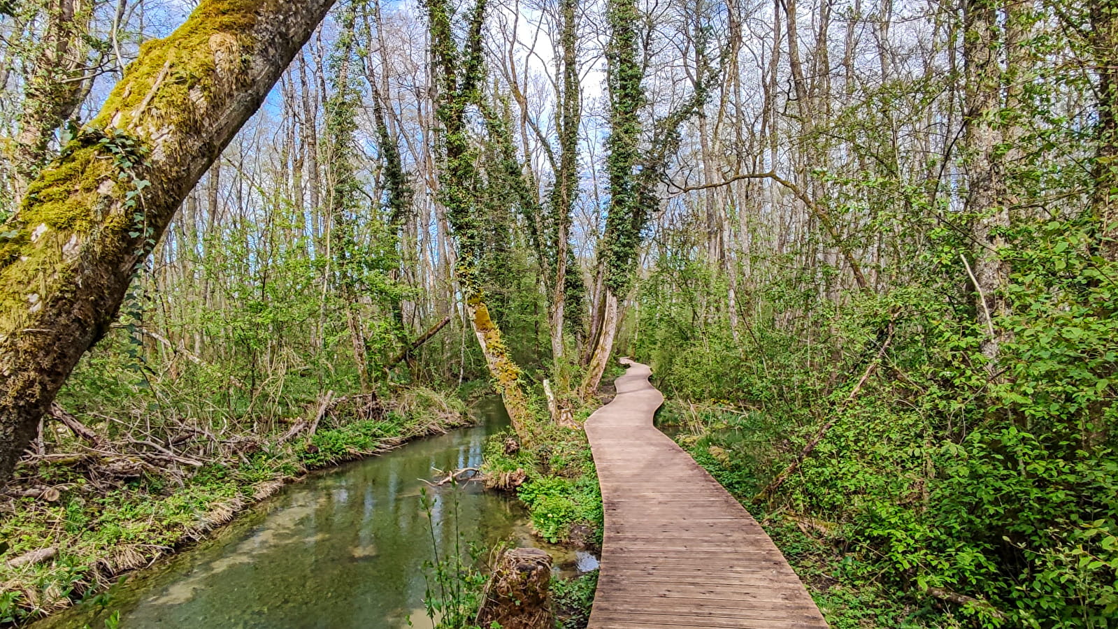 Randonnée pédestre : Marais des Bidonnes et Canal de Crans