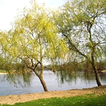 Sur le chemin de Saint-Jacques-de-Compostelle - DIOU