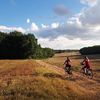 Circuit vélo : les plaines du Donziais à partir de Cosne-Cours-sur-Loire - COSNE-COURS-SUR-LOIRE
