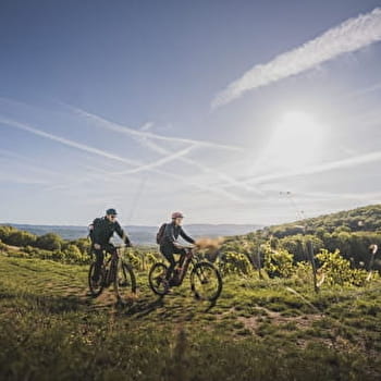 Circuit VTTAE n°21 (rouge) Vignoble du Revermont - Tour de Gravelles - CEYZERIAT