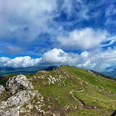 Parcours trail : montée du Grand Colombier depuis Culoz
