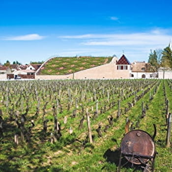 Balade à Nuits-Saint-Georges - NUITS-SAINT-GEORGES