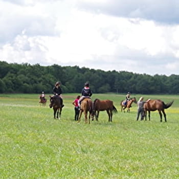 Itinéraire équestre St Etienne sur Reyssouze - St Nizier le Bouchoux - SAINT-NIZIER-LE-BOUCHOUX