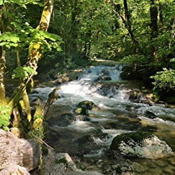Le sentier 'au fil de l'eau' - CHALEY