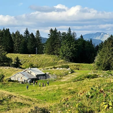 Randonnée pédestre : col de Menthières - Chalet du Sac
