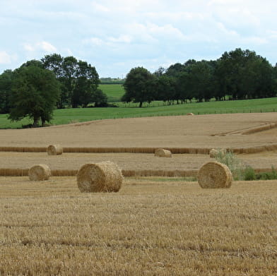 Circuit randonnée : De moulin en moulin.