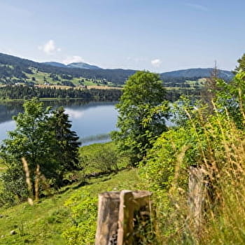 La boucle du Grand Tétras - Boucle vélo 12 - LONGCHAUMOIS