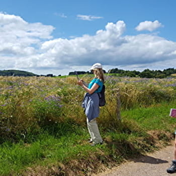 La Boucle de Roussillon - ROUSSILLON-EN-MORVAN