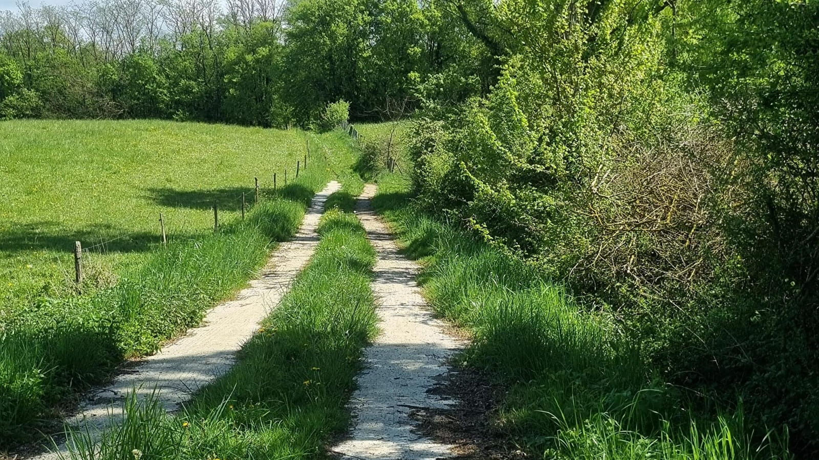 Circuit Gravel n°25 (rouge) Comté de Montrevel - Domaine du Sougey