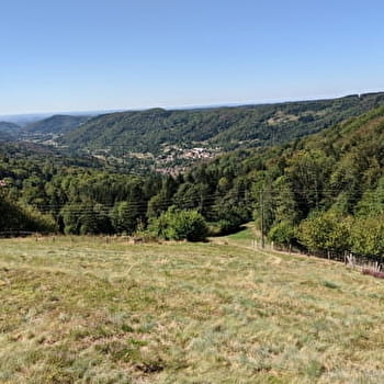 Le Grand Bois - HAUT-DU-THEM-CHATEAU-LAMBERT