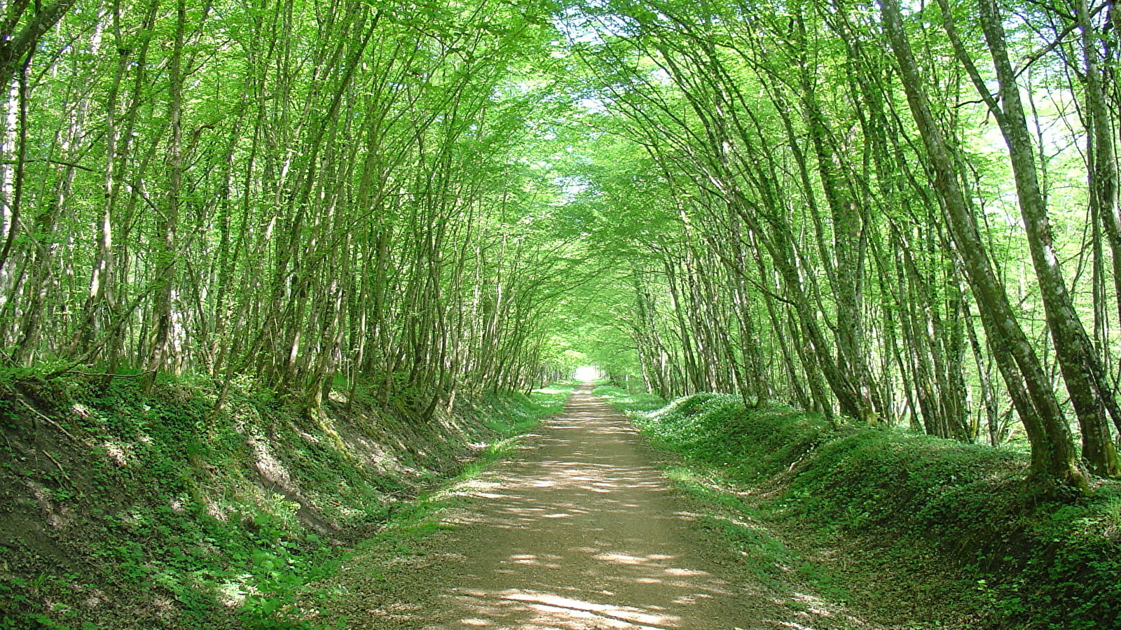 Decize - La Machine par l'étang Grenetier