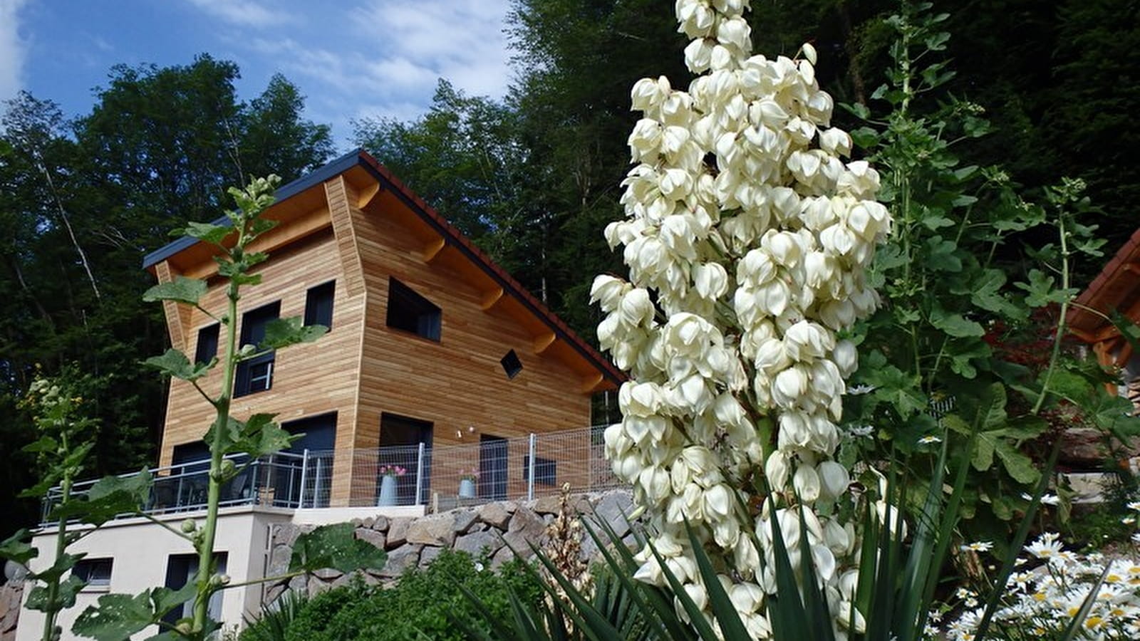 Villa Cora Venez- SPA privatif - Etat Neuf- Vosges du Sud